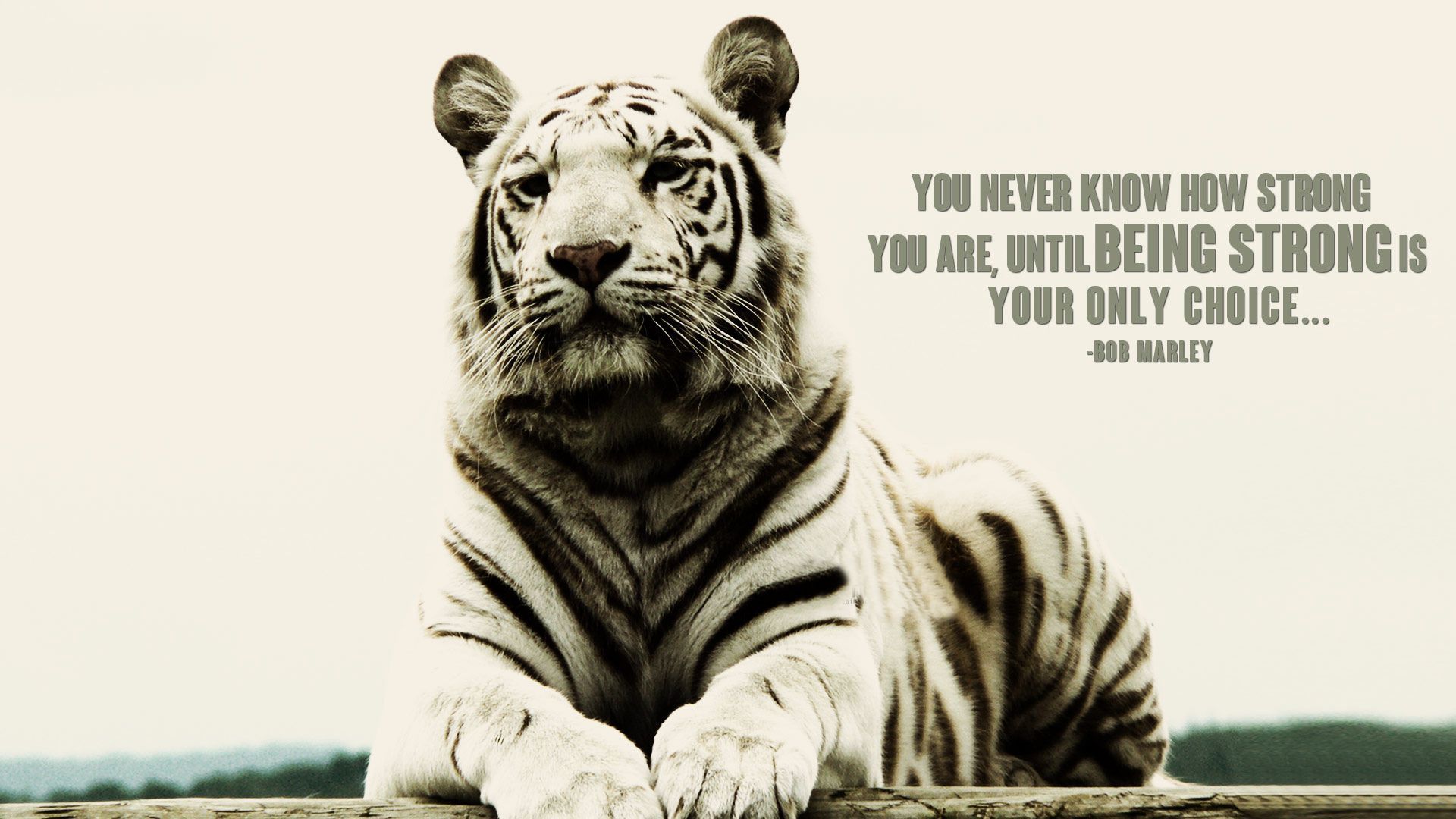 1920x1080 Good Morning Being Strong Quotes Wallpaper 05741