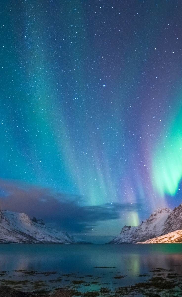 736x1200 Best Antarctica & The Arctic Vacations, Tours, Trips & Luxury Travel 2025 2026. Abercrombie & Kent