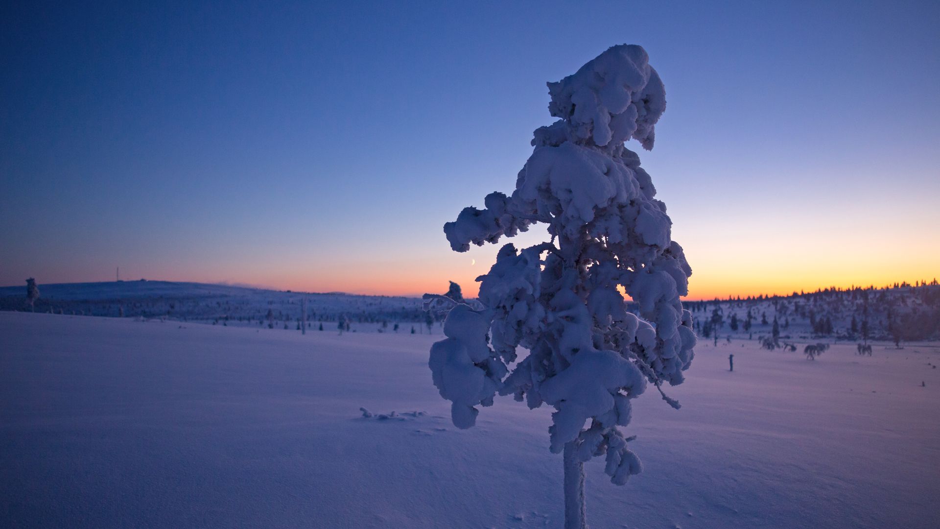 1920x1080 The Magical Colors of Polar Night. Visit Finnish Lapland