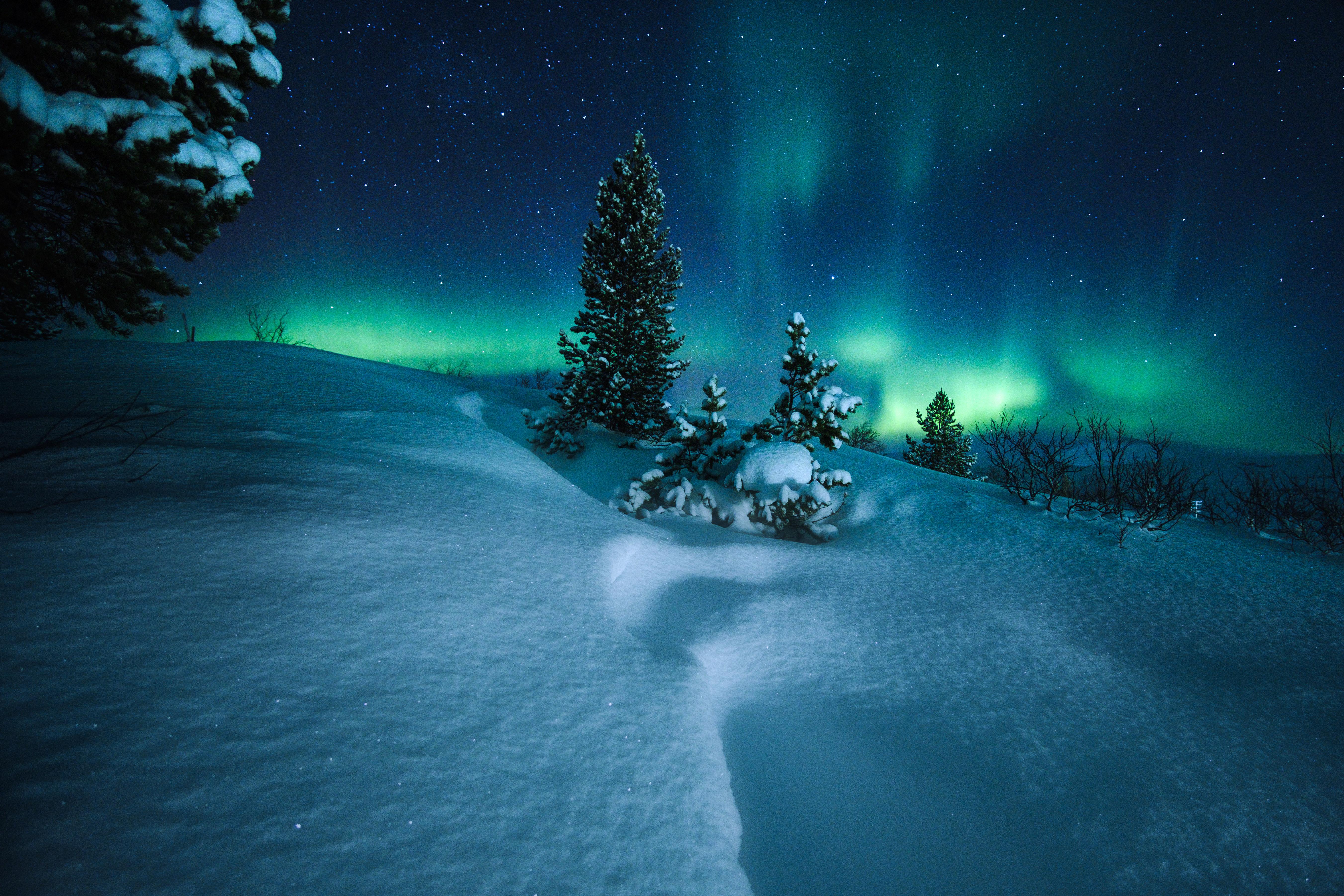 5406x3604 Wallpaper Arctic Circle, Aurora, Snow, Nature, Winter, Background Free Image