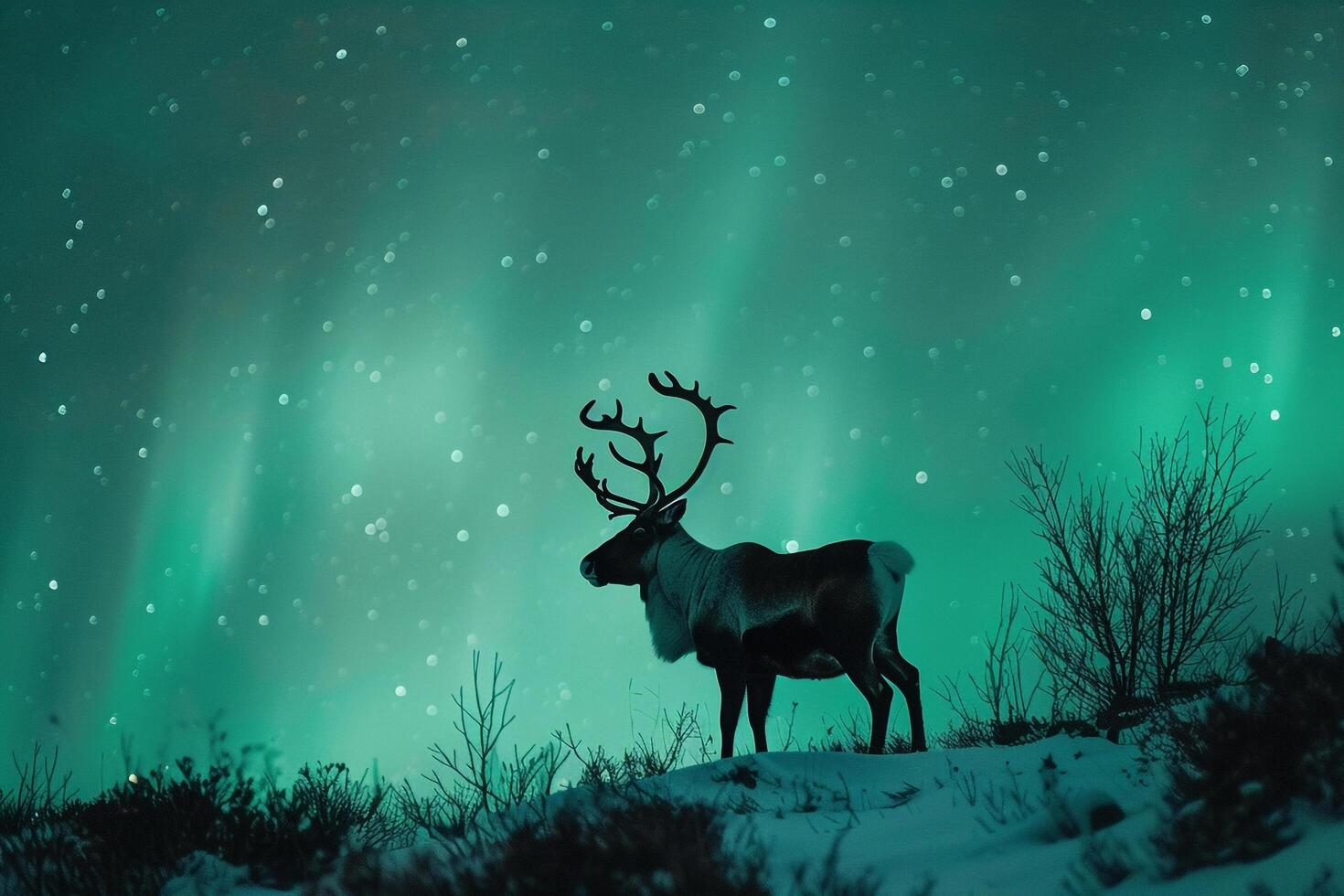 1470x980 Regal Caribou stag standing proudly on snowcovered hillside with antlers silhouetted against the AurorBorealis dancing in the Arctic night sky