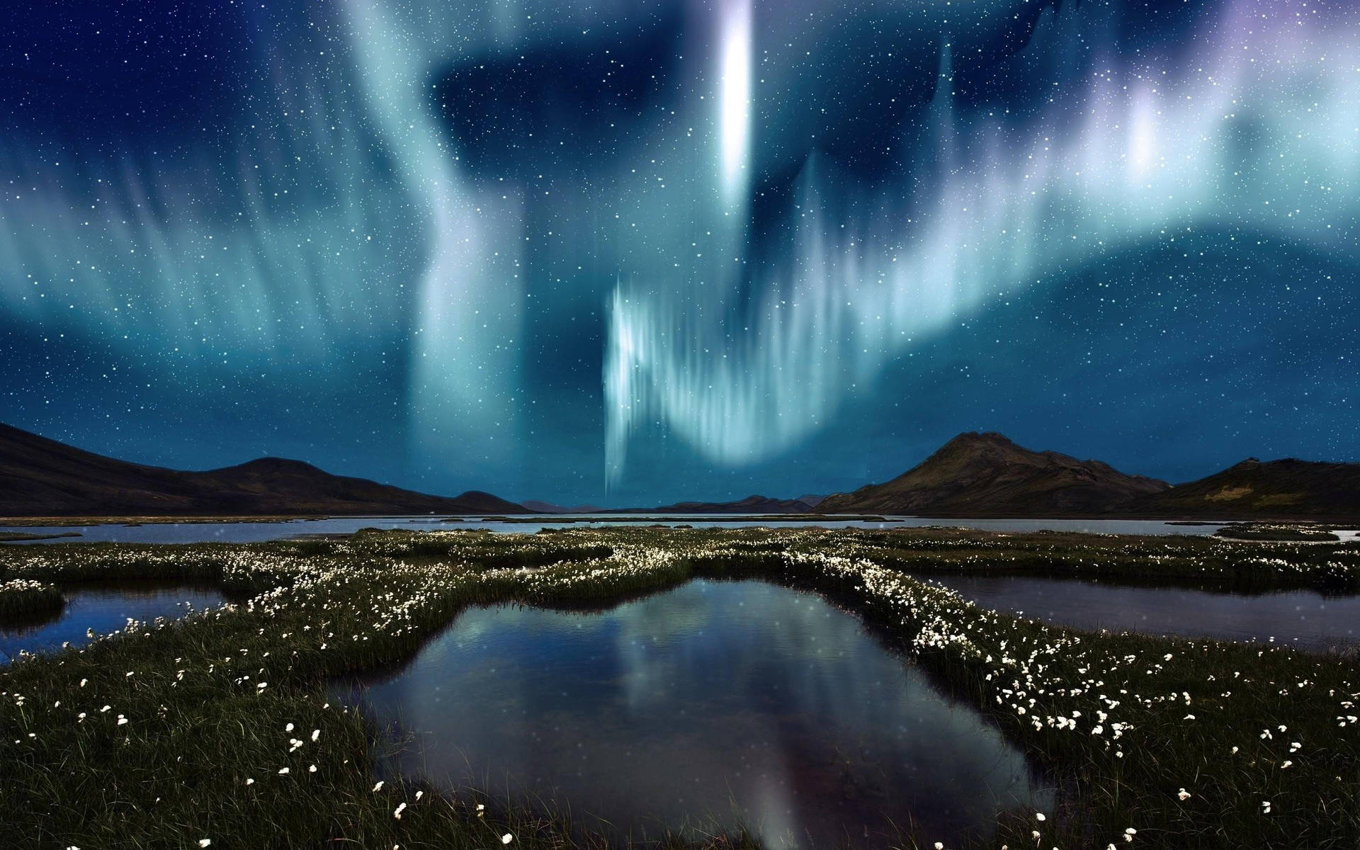 1920x1200 Download Arctic White Aurora Borealis Wallpaper