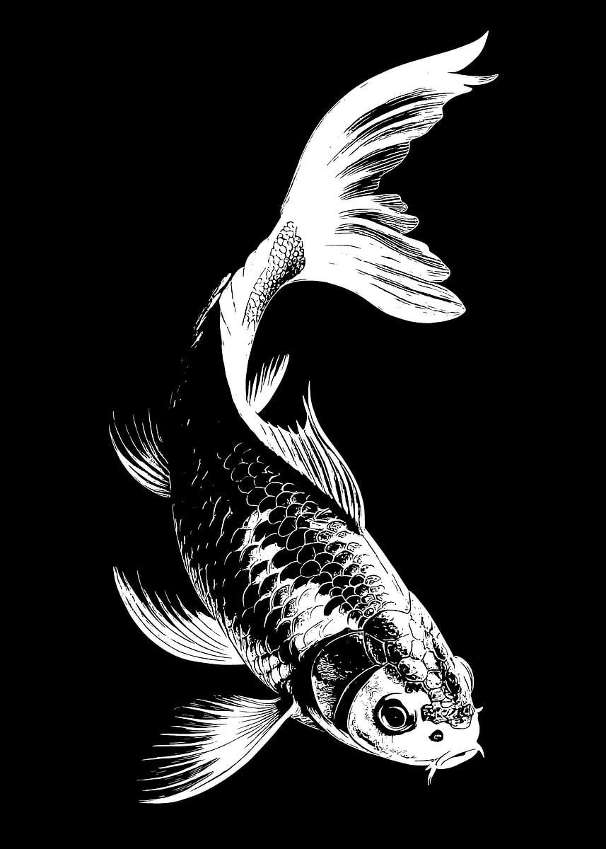 857x1200 Koi Fish Black and White Illustration