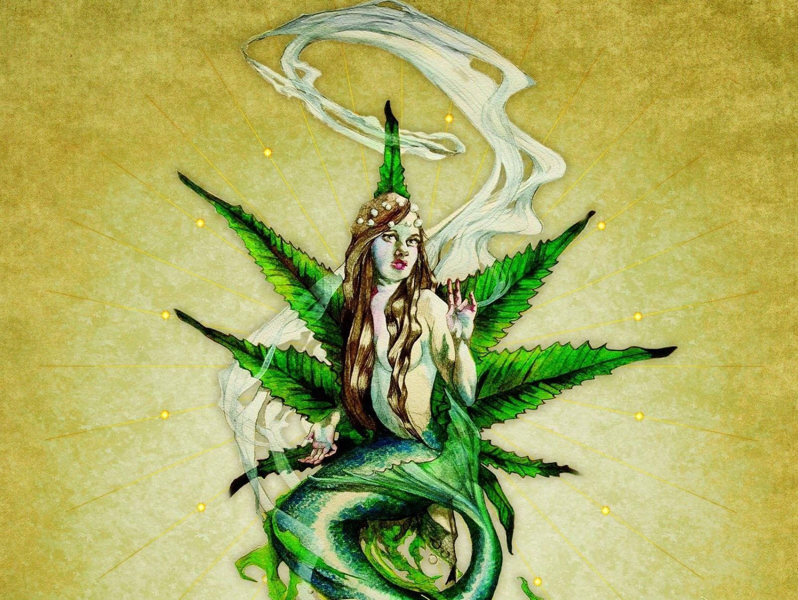 1600x1203 Weed, Fantasy Wallpaper, HD Desktop Wallpaper, Technology