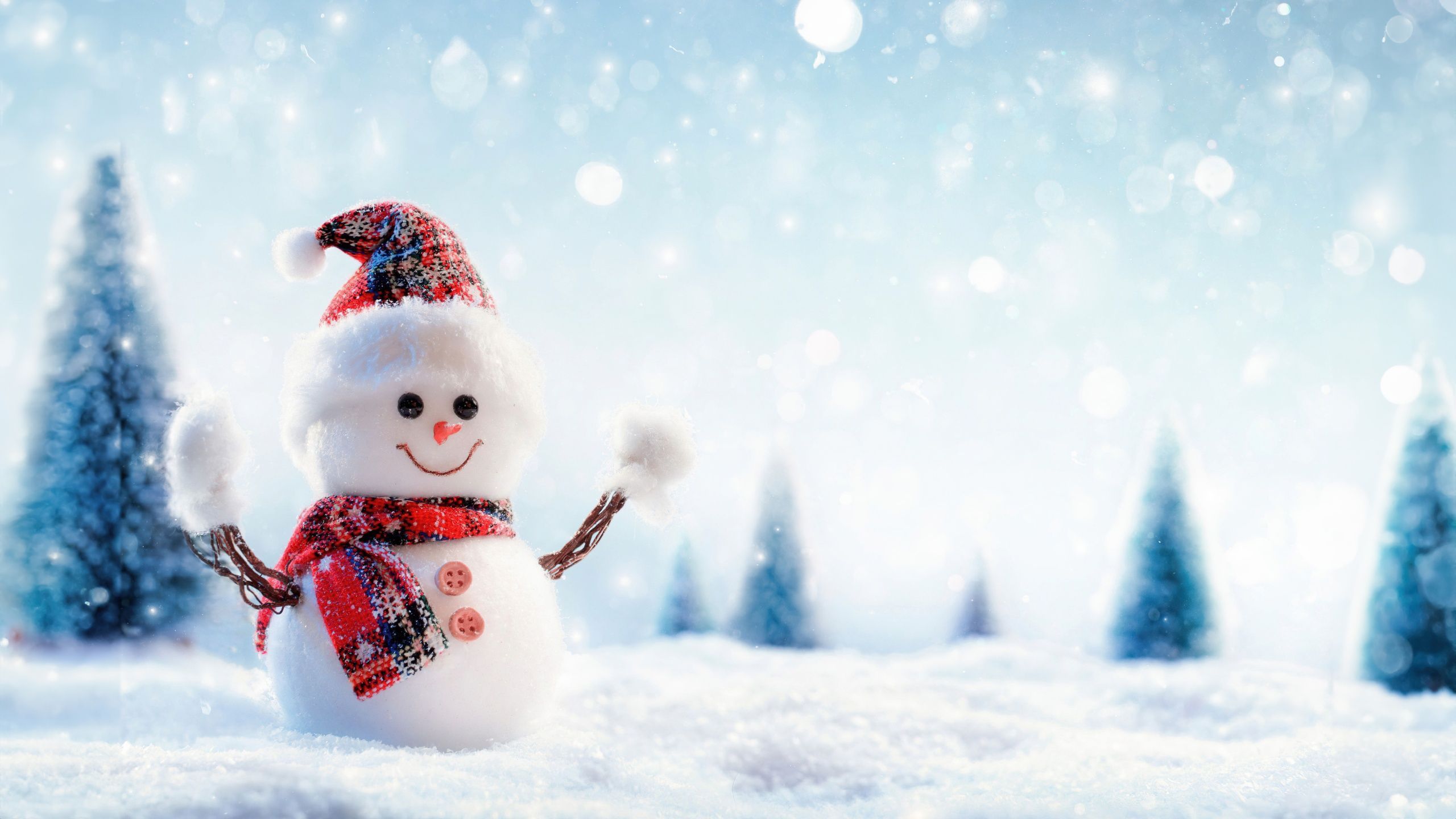 2560x1440 Christmas special Wallpaper 4K, Snowman, Winter, Santa hat