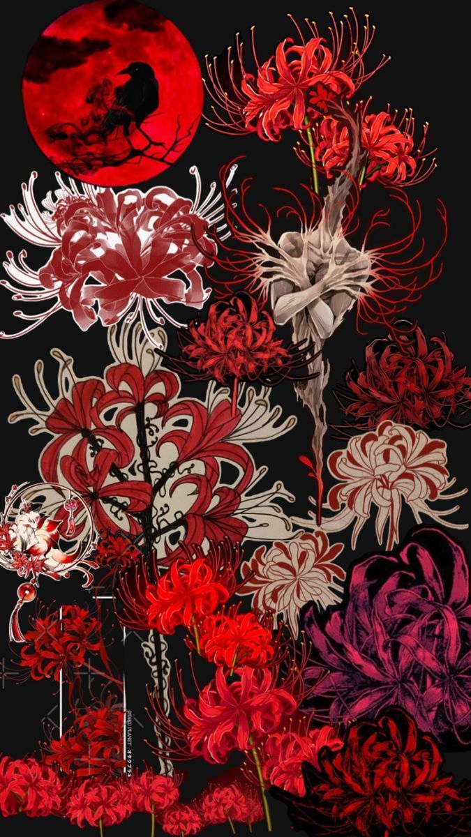 675x1200 Red Spider Lily. Red spider lily, Lily wallpaper, Art wallpaper iphone