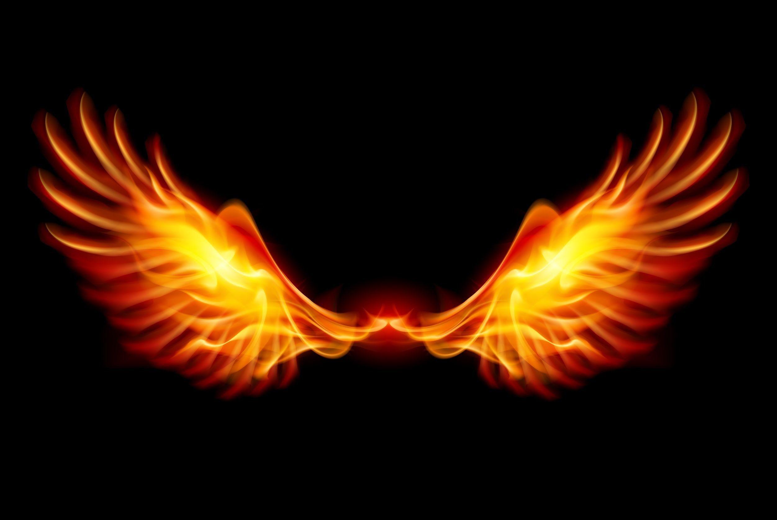 Phoenix Wallpapers Top Free Phoenix Backgrounds WallpaperAccess