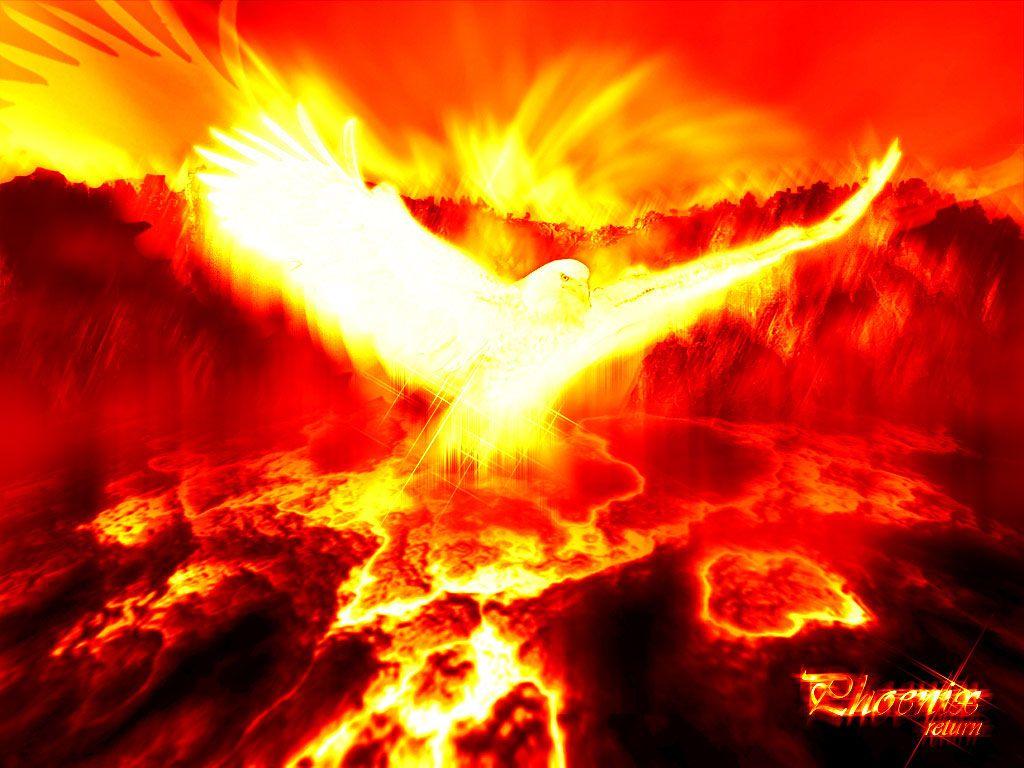 1024x768 Phoenix Picture Myth Bird Photo Gallery