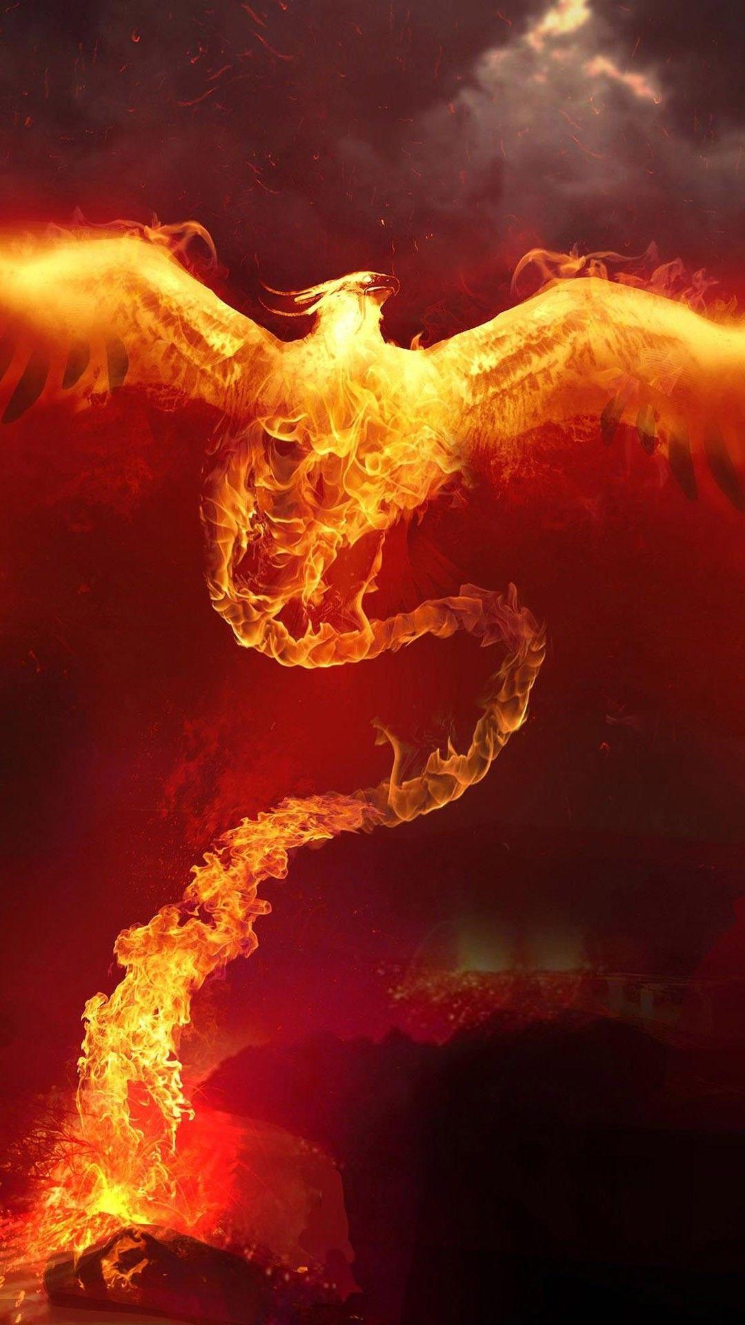 1080x1920 Phoenix