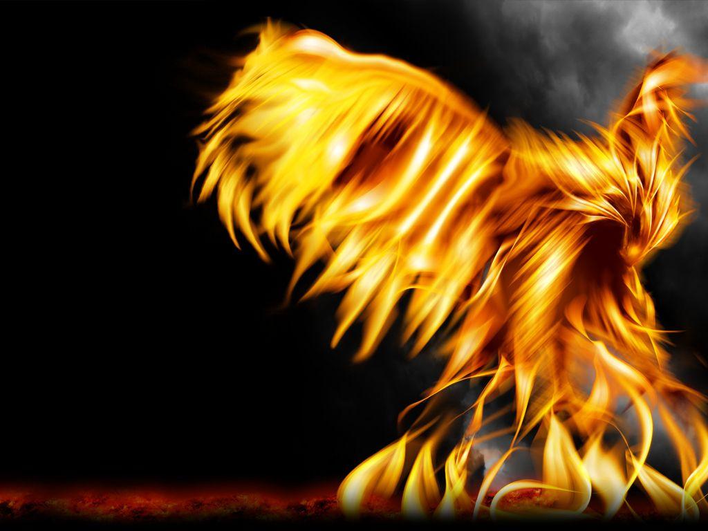 1024x768 Phoenix Wallpaper. Wallpaper for desktop