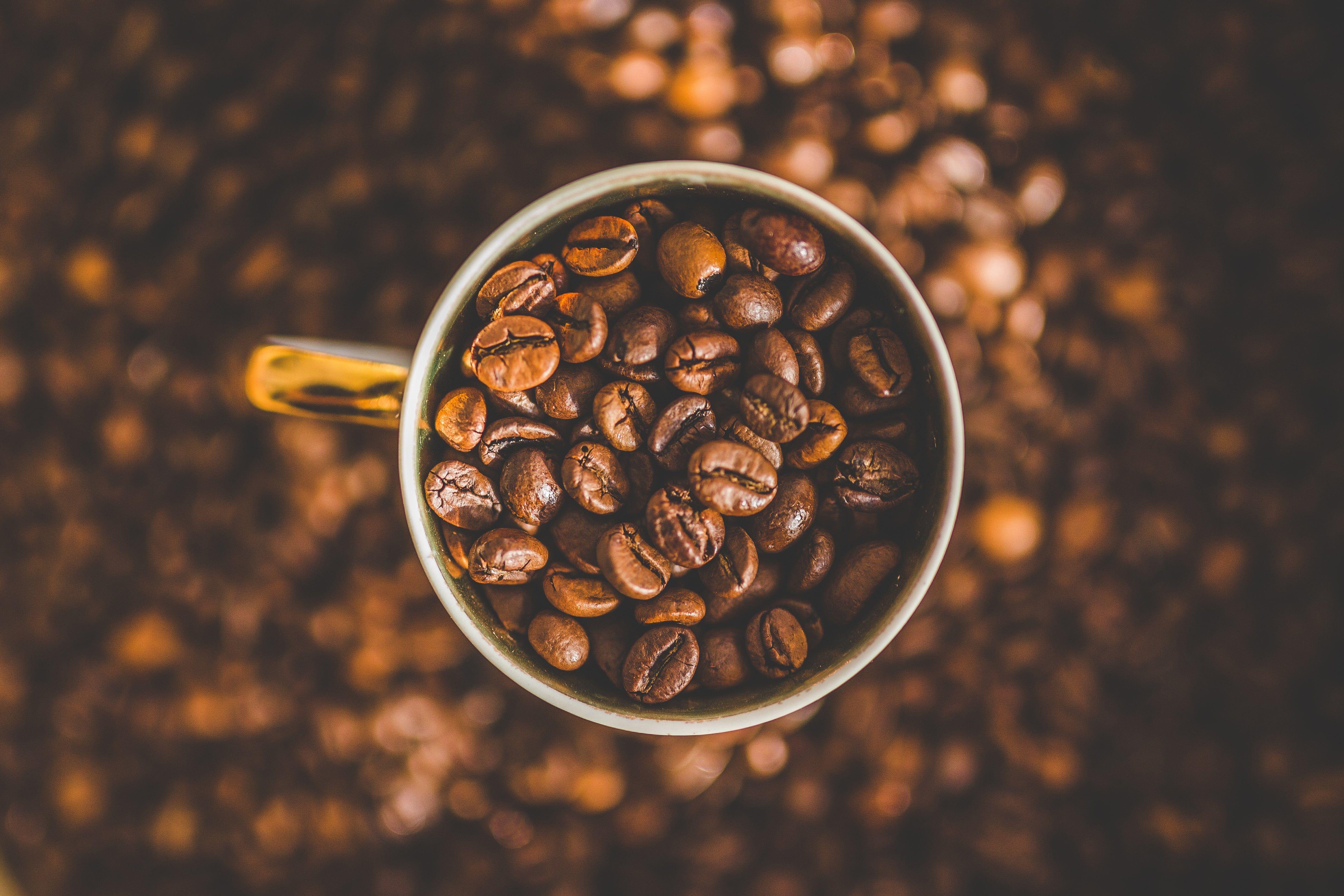 4955x3303 Shallow focus photography of coffee bean lot, depth of field