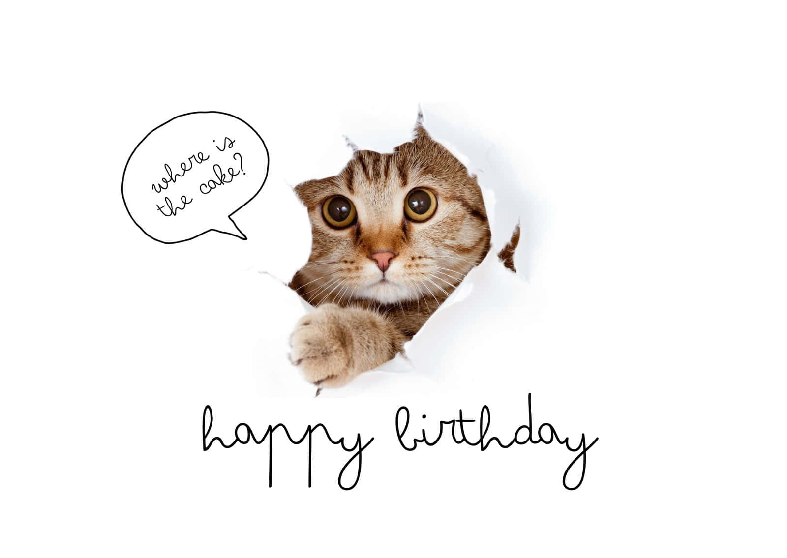 1600x1135 Download Wish Someone Special a Funny Happy Birthday!