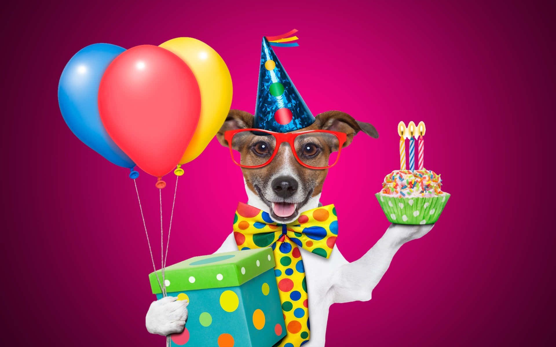 1920x1200 Funny Birthday Picture