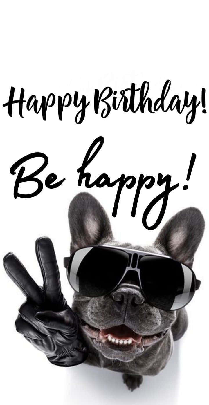 720x1396 Funny Birthday Wallpaper