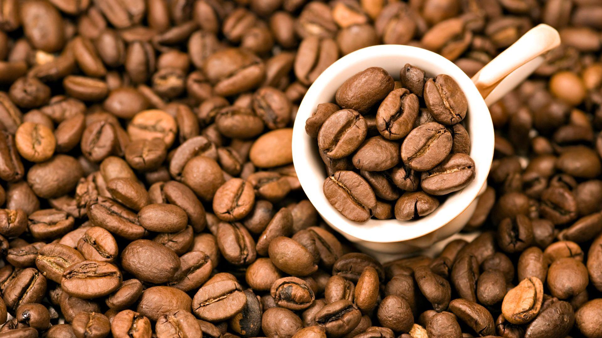 1920x1080 Barista & Coffee Experience Program Bean Wallpaper HD