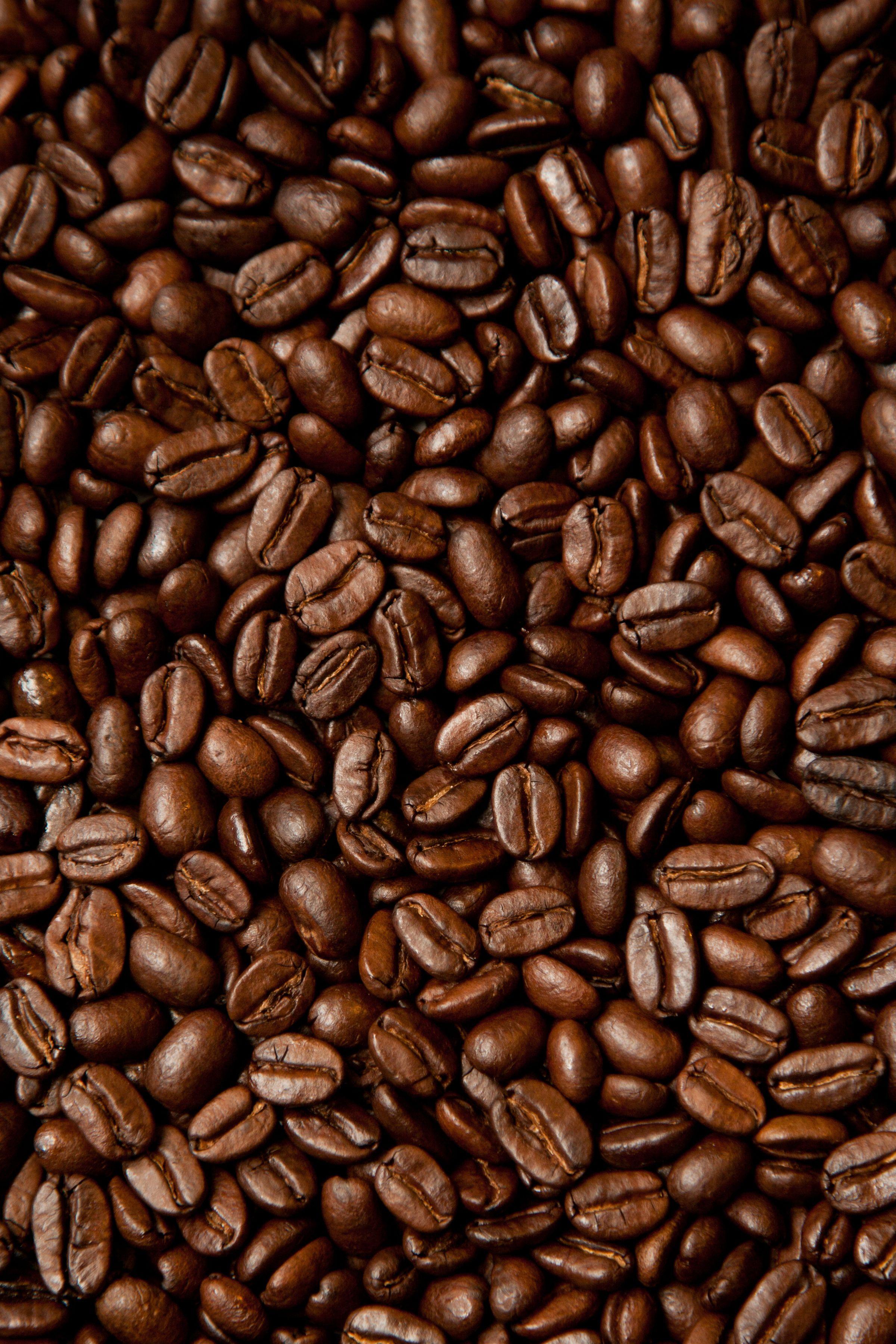 Coffee Beans Wallpapers - Top Free Coffee Beans Backgrounds