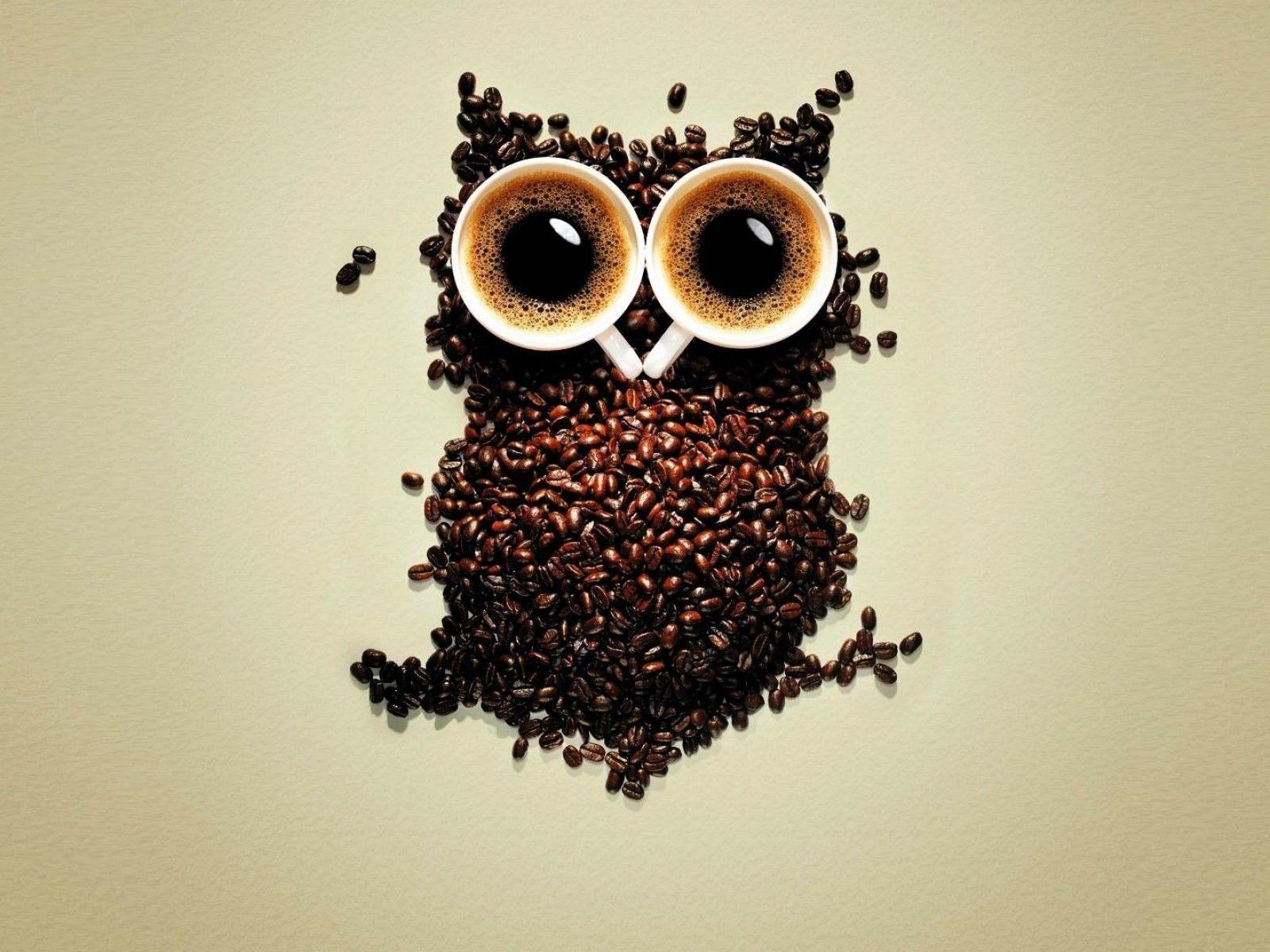 1600x1200 Coffee Beans Owl Art 1600x1200 Resolution HD 4k