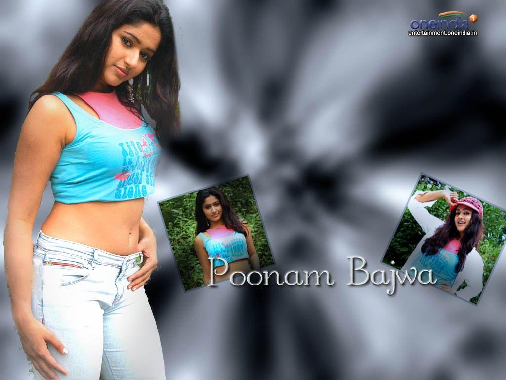 1024x768 Poonam Bajwa HD Wallpaper. Latest Poonam Bajwa Wallpaper HD