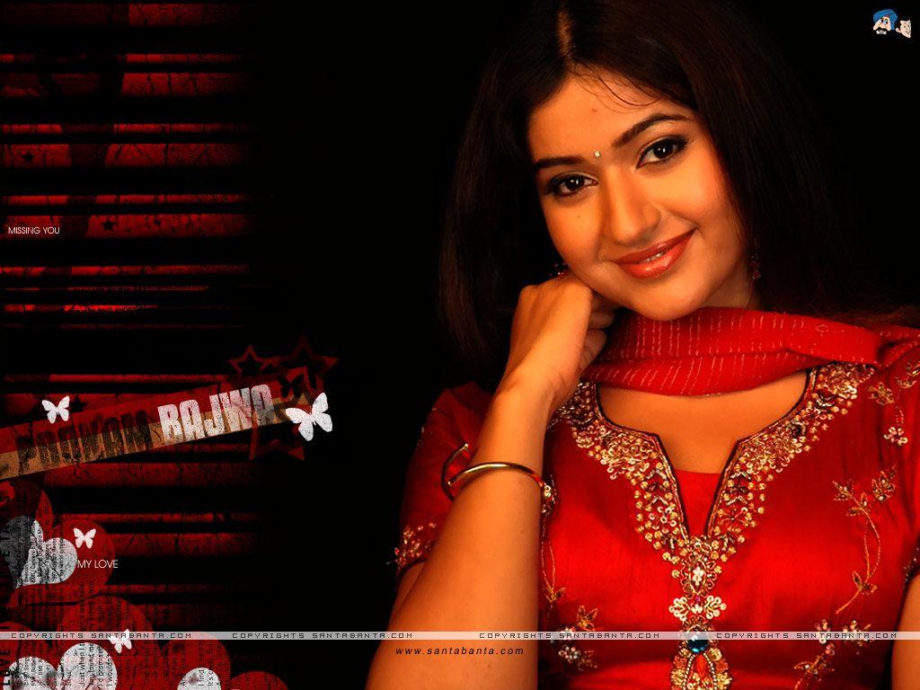 1024x768 Free Download Poonam Bajwa Hot HD Wallpaper