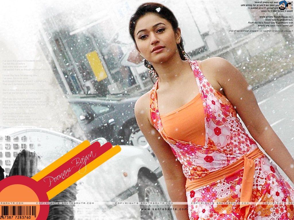 1024x768 Free Download Poonam Bajwa Hot HD Wallpaper
