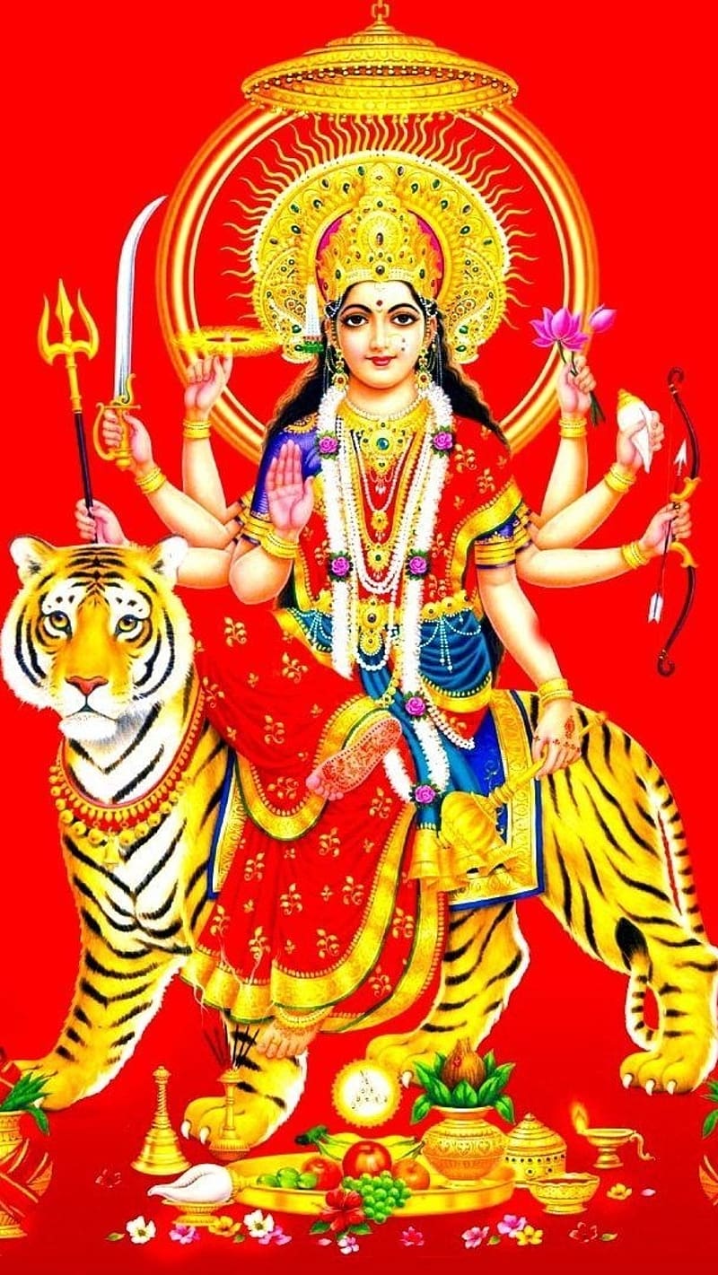 800x1421 Durga Maa Ka, Red Background, goddess, mahadevi, HD phone wallpaper