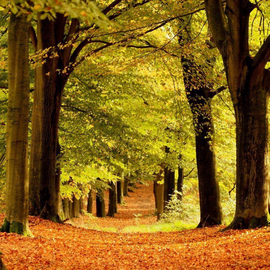 1024x1024 Beautiful Scenery Wallpaper