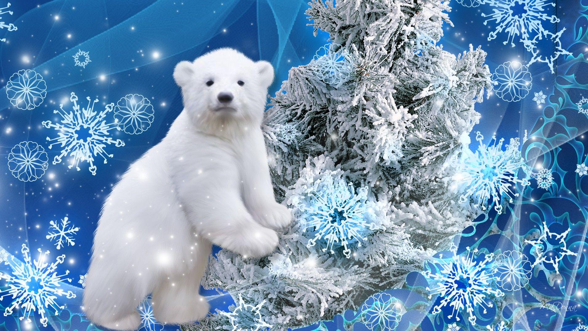 1920x1080 Christmas Polar Bear Wallpaper