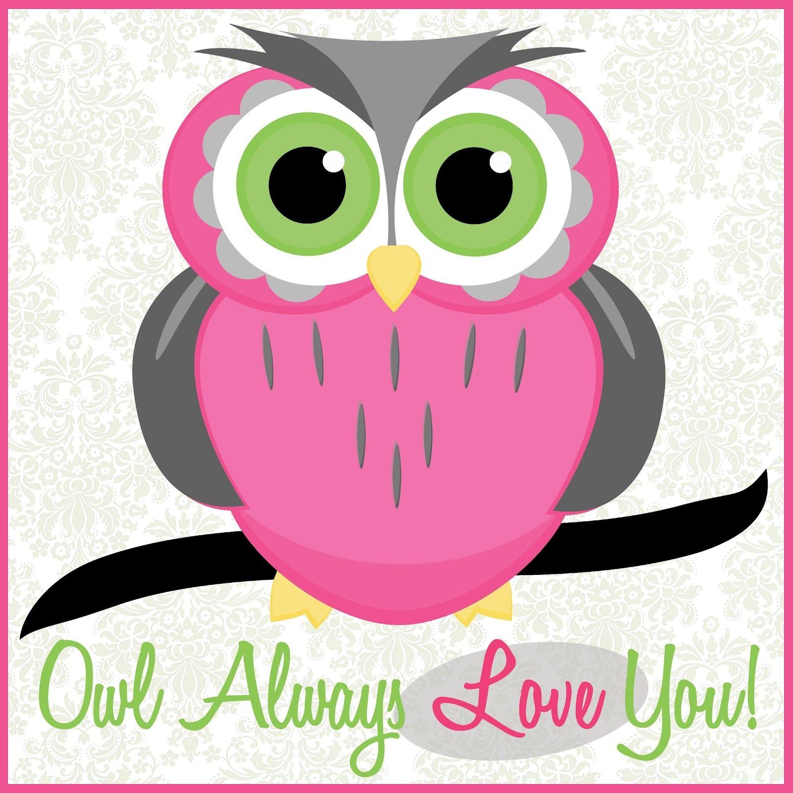 1600x1600 Awesome Cute Cartoon Owl Image Gallery. Free Cartoon Image 2018
