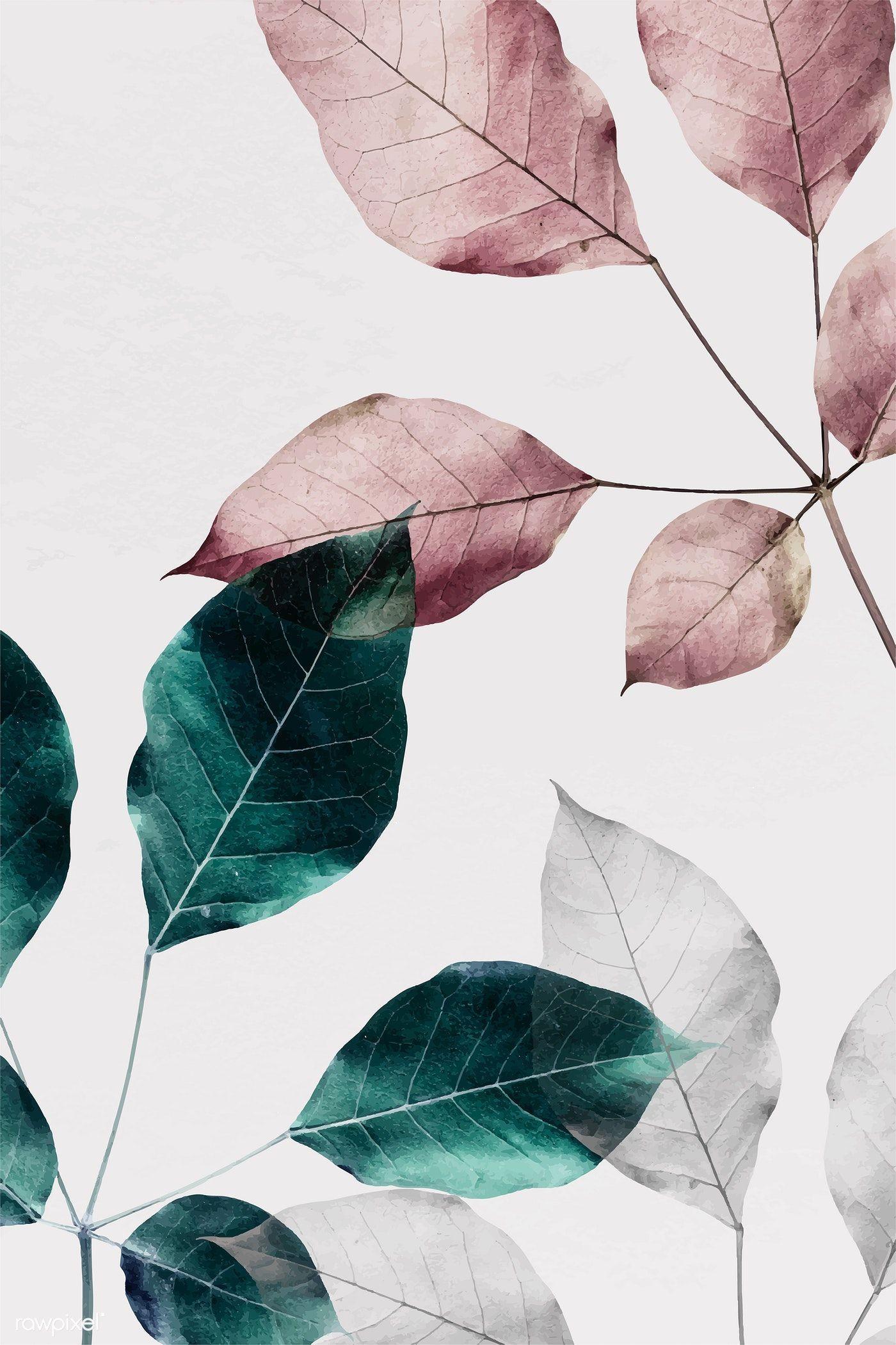 1400x2100 Download premium vector of Branches of rose pink leaves with green