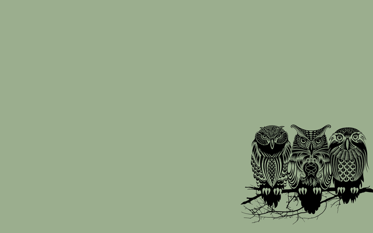 1280x800 Owl Desktop Wallpaper