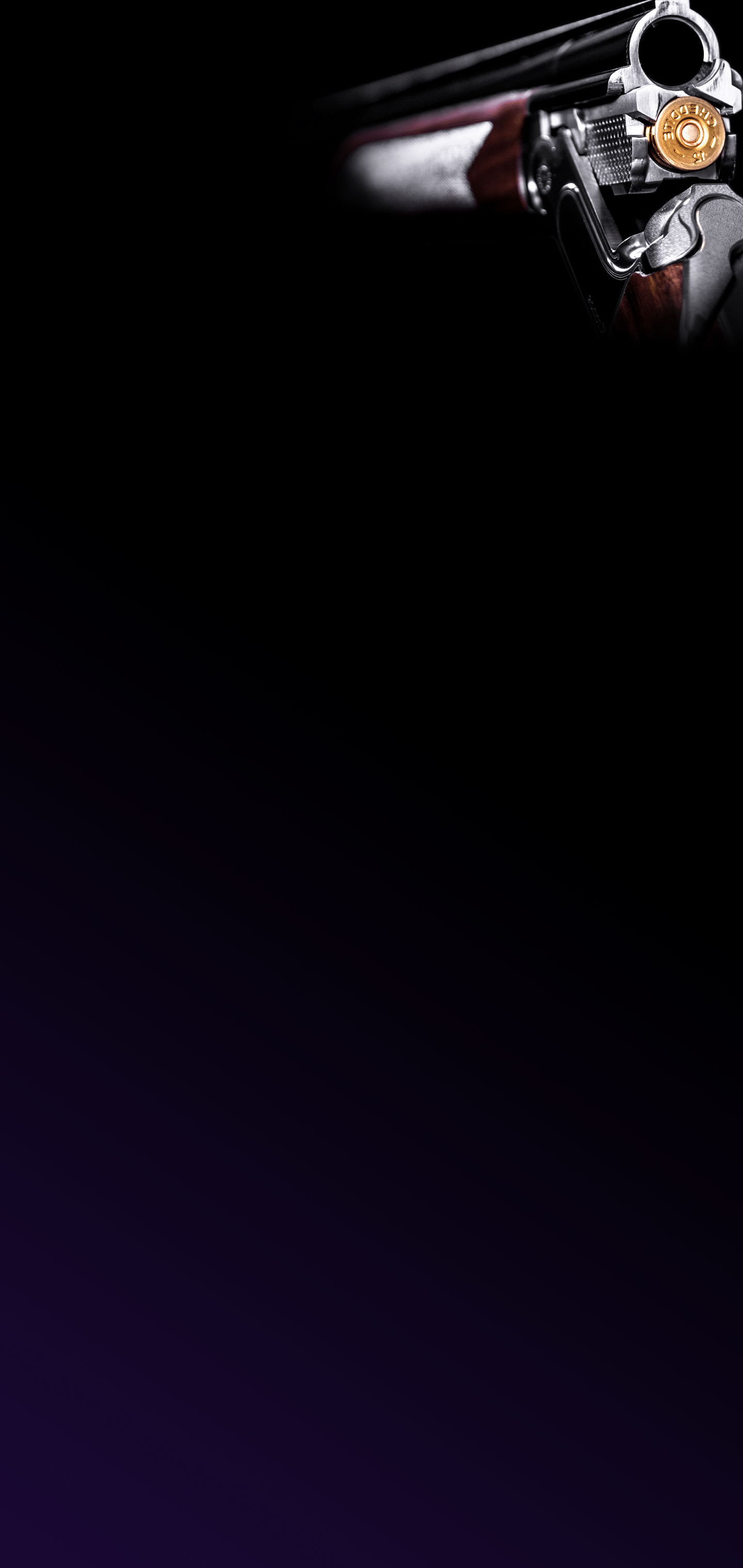 1440x3040 Gun wallpaper for S10E, S10