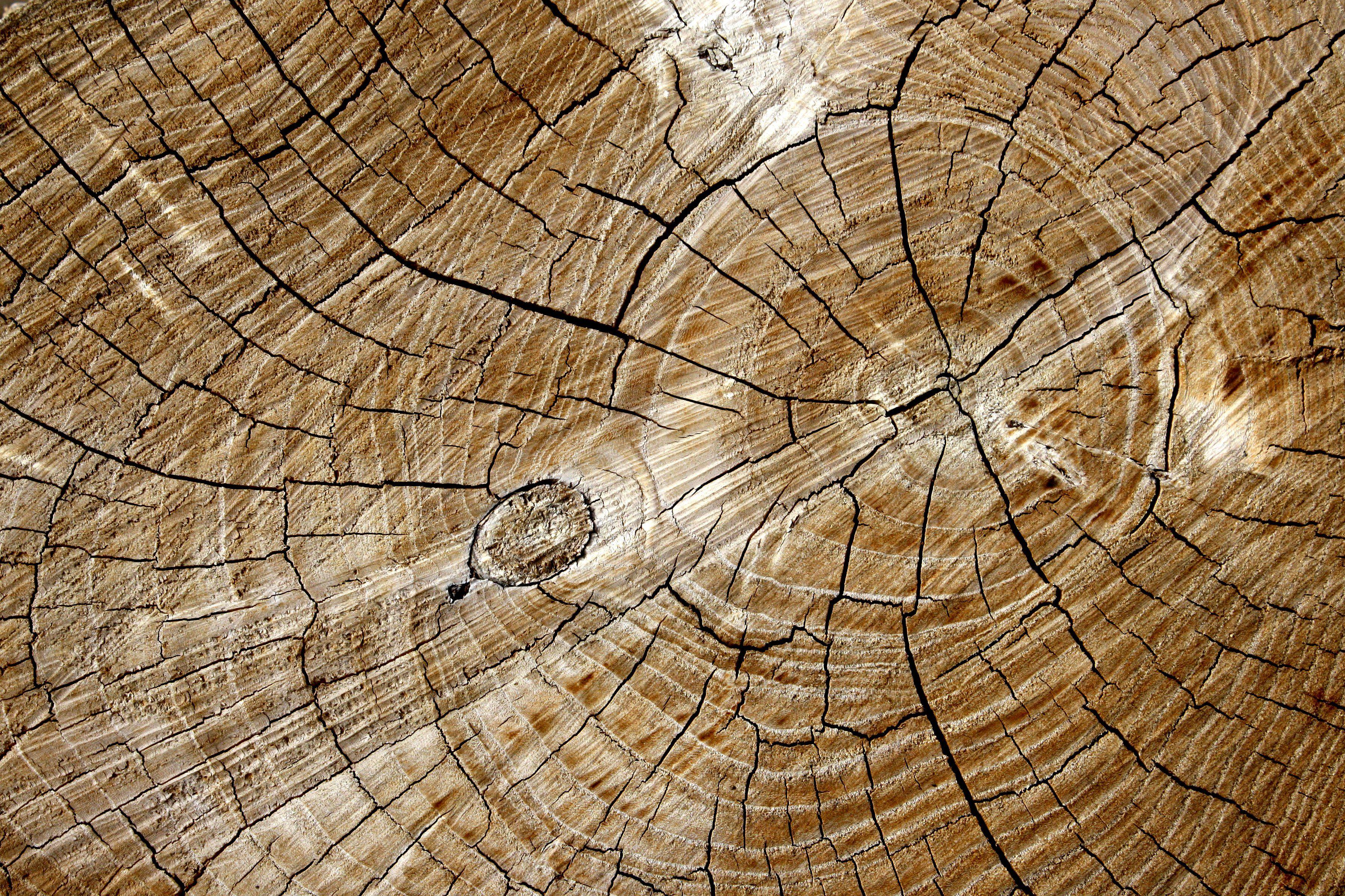 3600x2400 Log Wallpaper. Cute Blog Background