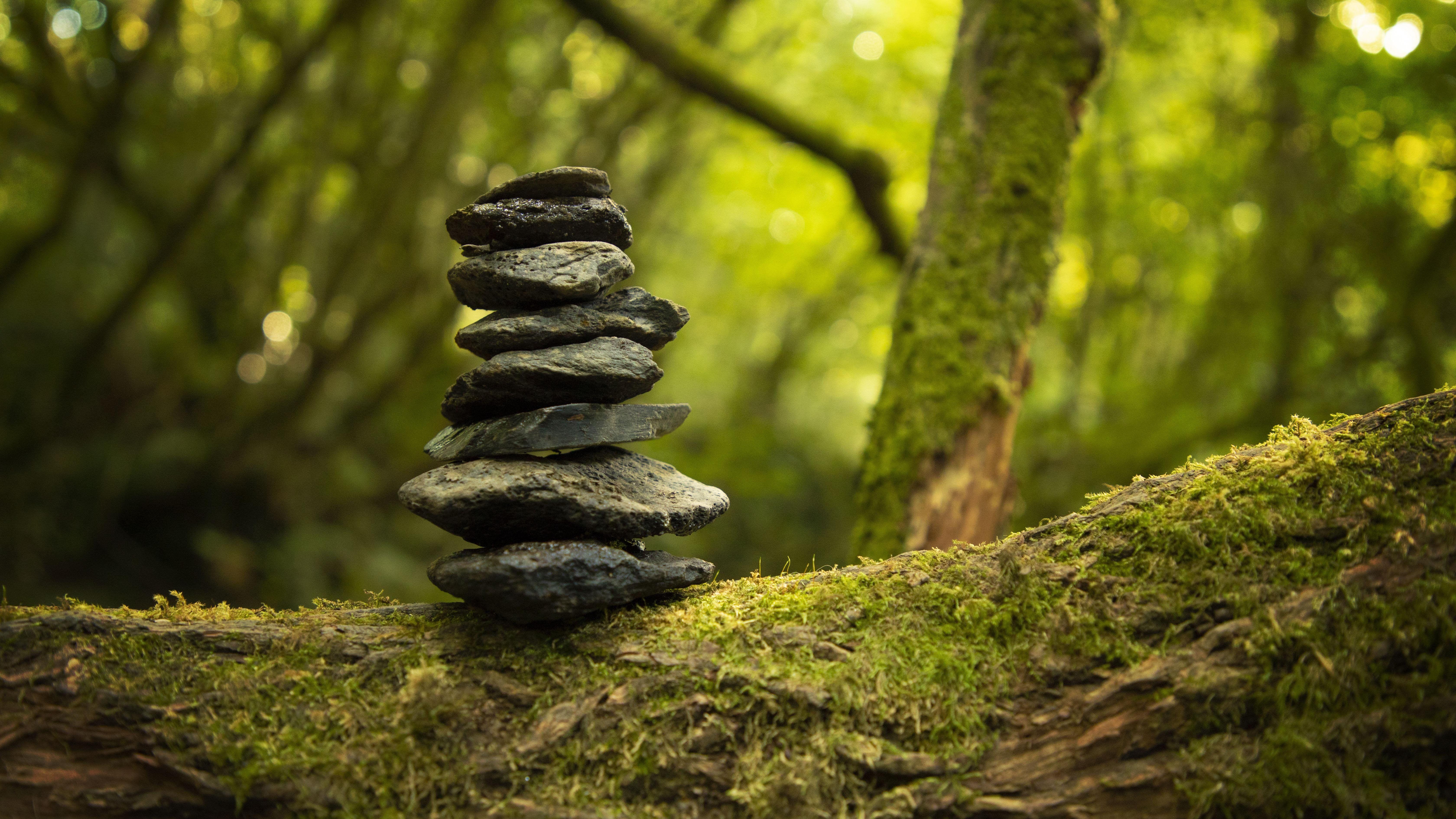 6720x3780 log 4K wallpaper for your desktop or mobile screen free and easy