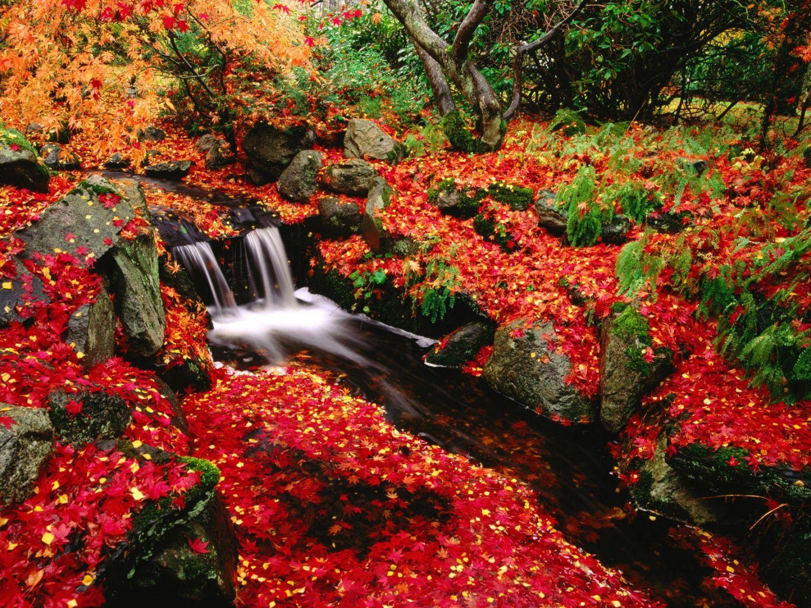 1600x1200 Beautiful Landscape Scenery Wallpaper: Find best latest Beautiful