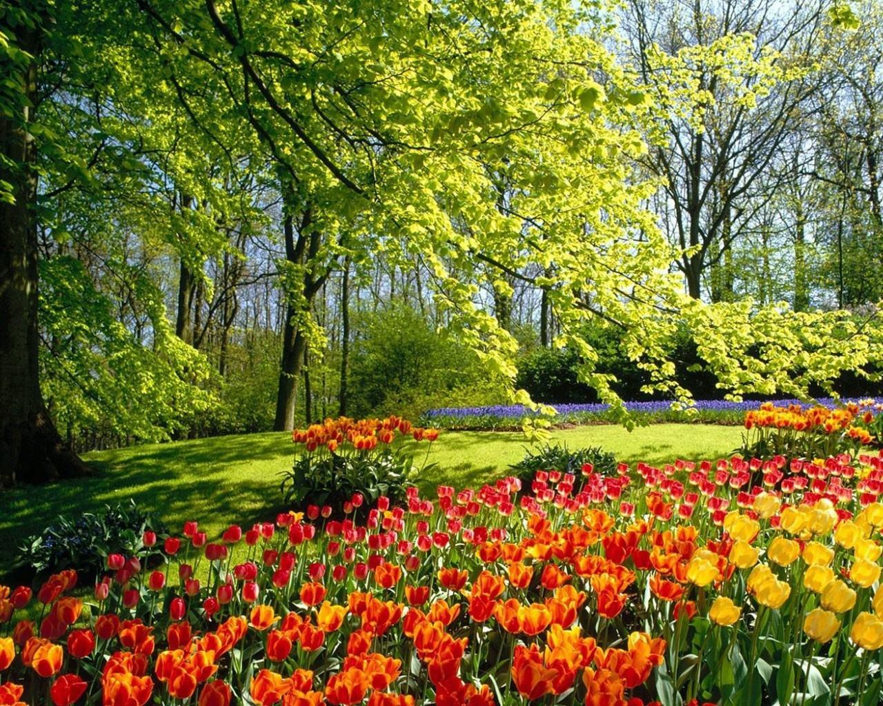1280x1024 Large Scenery Wallpaper Scenery Wallpaper For Mobile