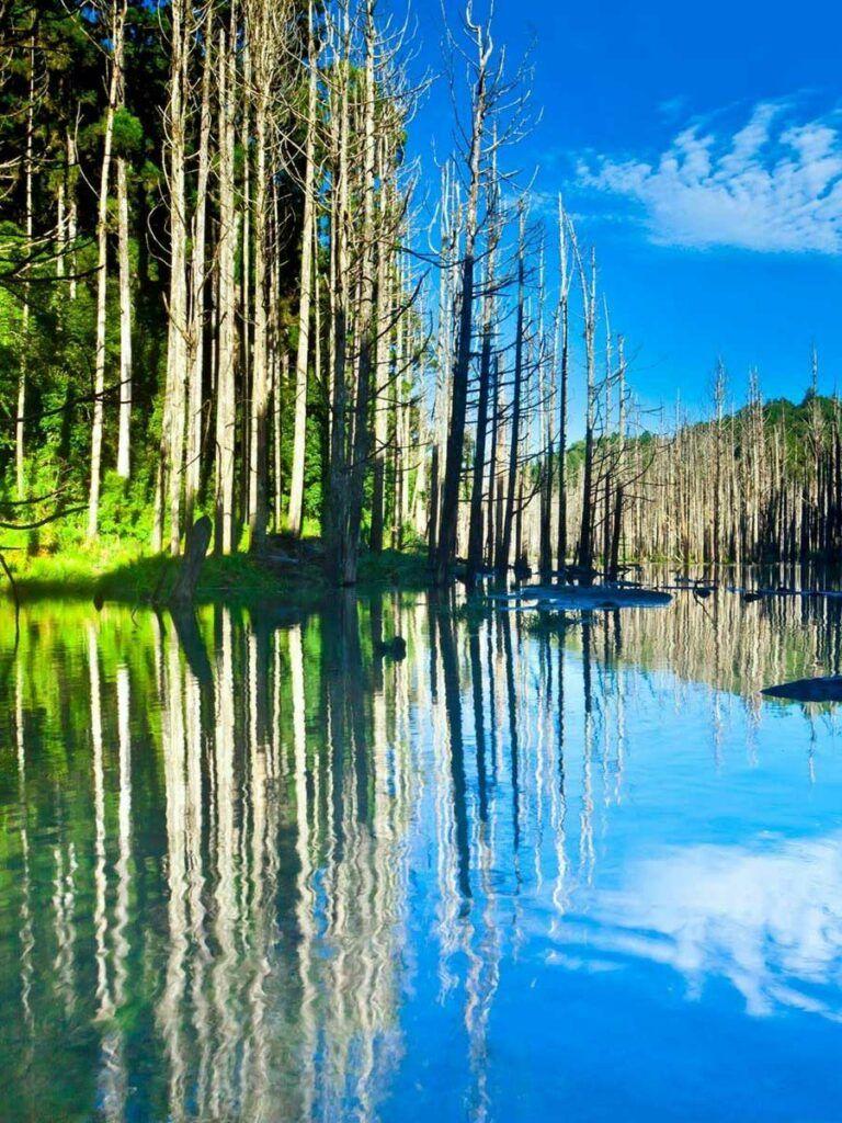 768x1024 Apple iPad Wallpaper HD beautiful nature scenery lake trees water