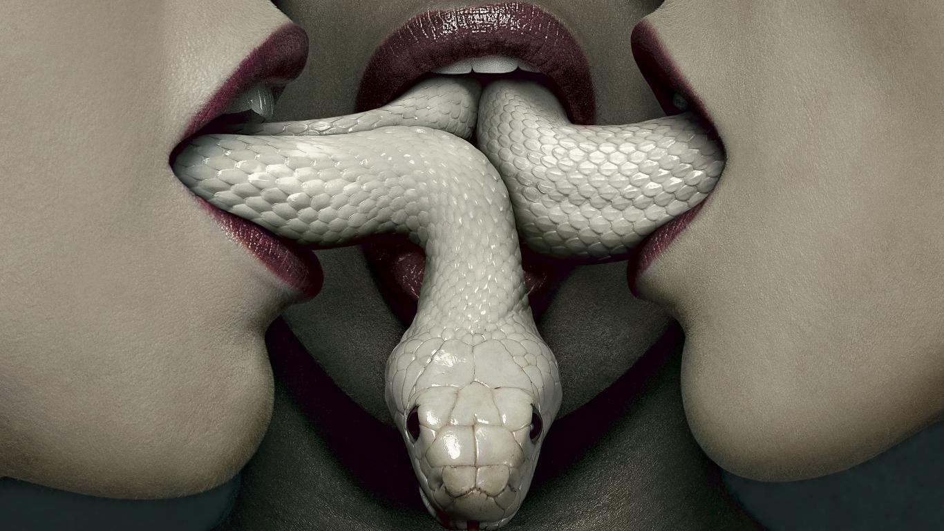 1366x768 American Horror Story: Coven wallpaper 1366x768 (laptop) desktop