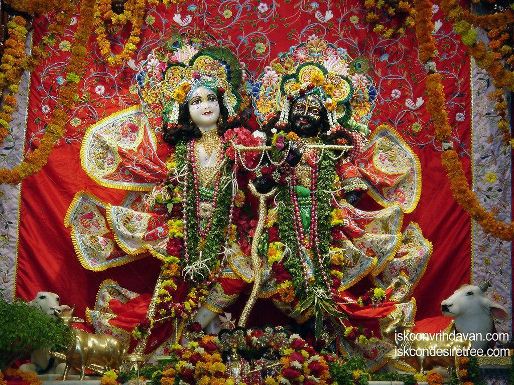 1024x768 Sri Sri Krishna Balaram Wallpaper (013). View above wallpap