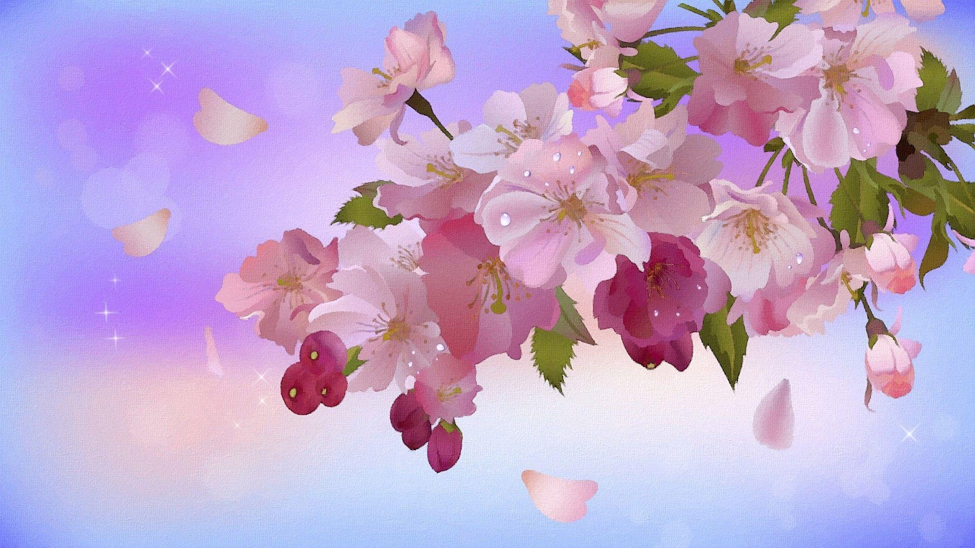 Apple Blossom Wallpapers Top Free Apple Blossom Backgrounds Wallpaperaccess