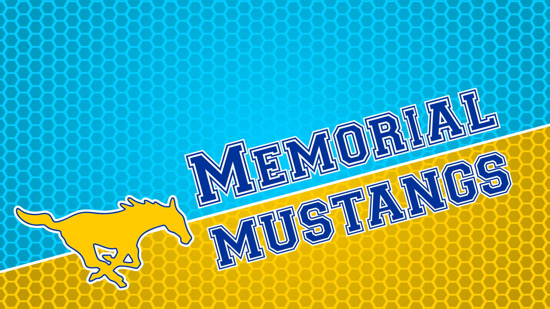 1920x1080 McHi, McAllen Memorial, and Nikki Rowe Wallpaper