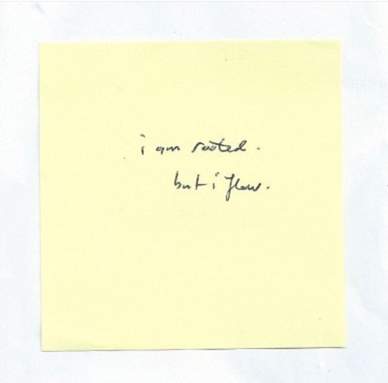 1280x1263 Latest HD All The Bright Places Quotes