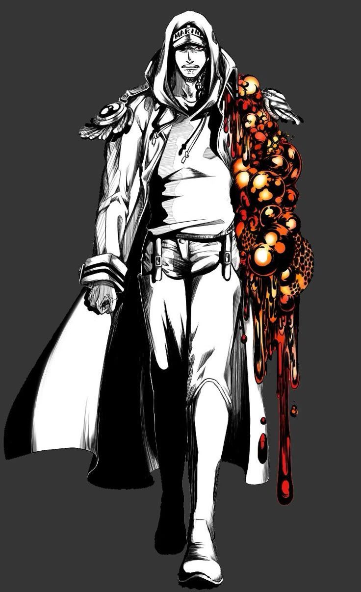 736x1207 Sakazuki (ONE PIECE) Mobile Wallpaper by Pixiv Id 1103170 Anime Image Board