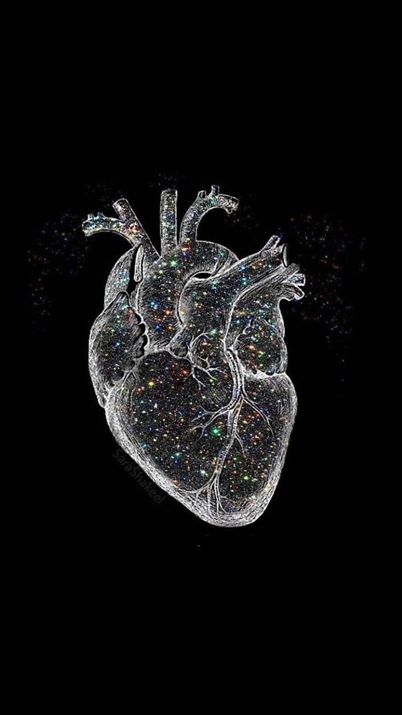 800x1422 Black. Theme.. iPhone. Android. iPhone art, Anatomy art, Medical, Anatomical, HD phone wallpaper