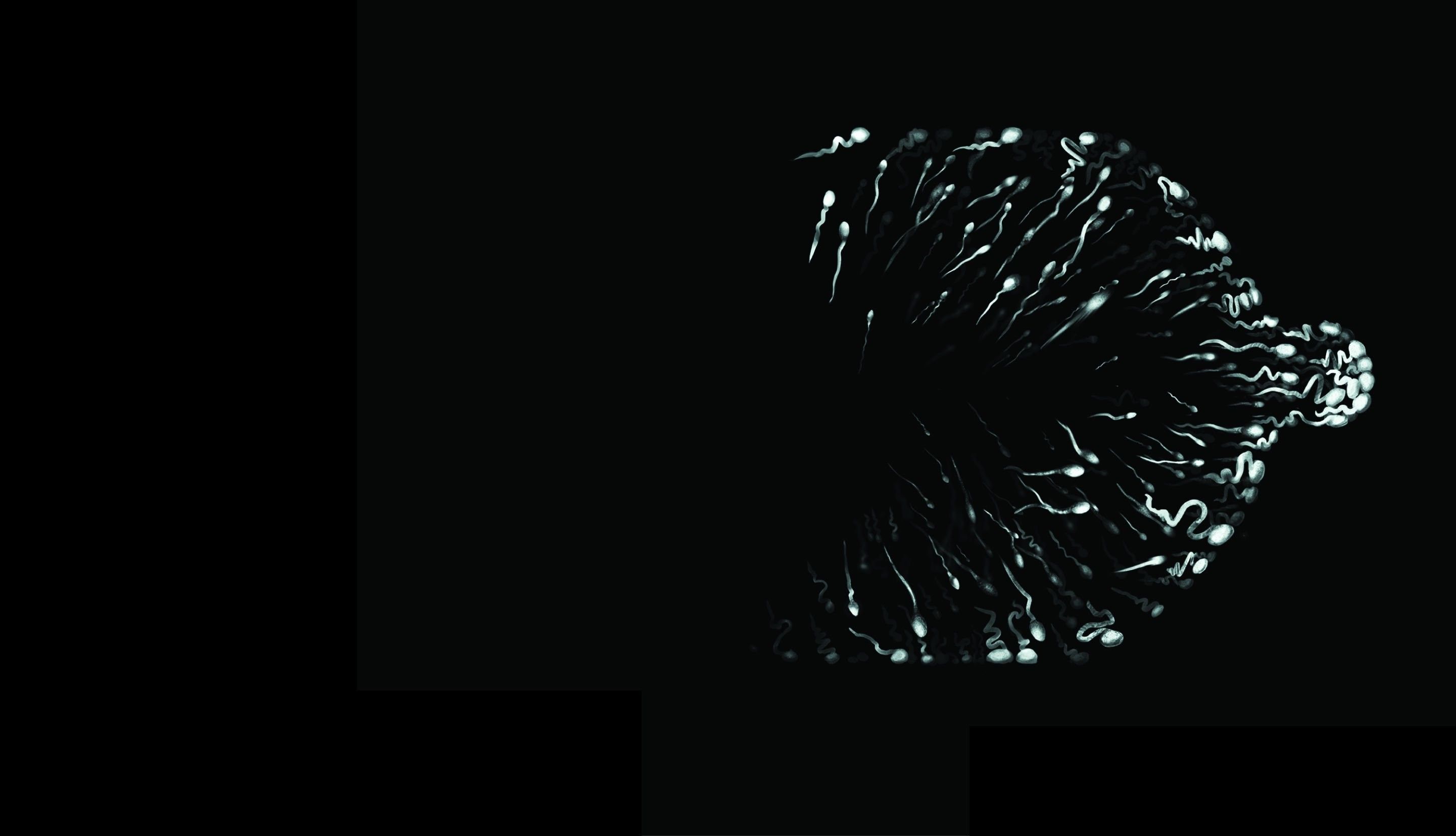 2882x1654 Medical Wallpaper