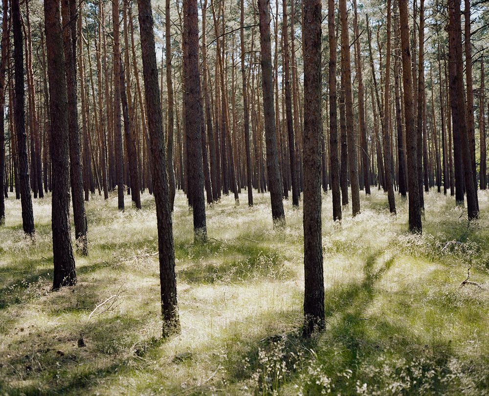 1000x810 Wim WendersREAL & TRUE2. WIM WENDERS. LANDSCAPES. PHOTOGRAPHS