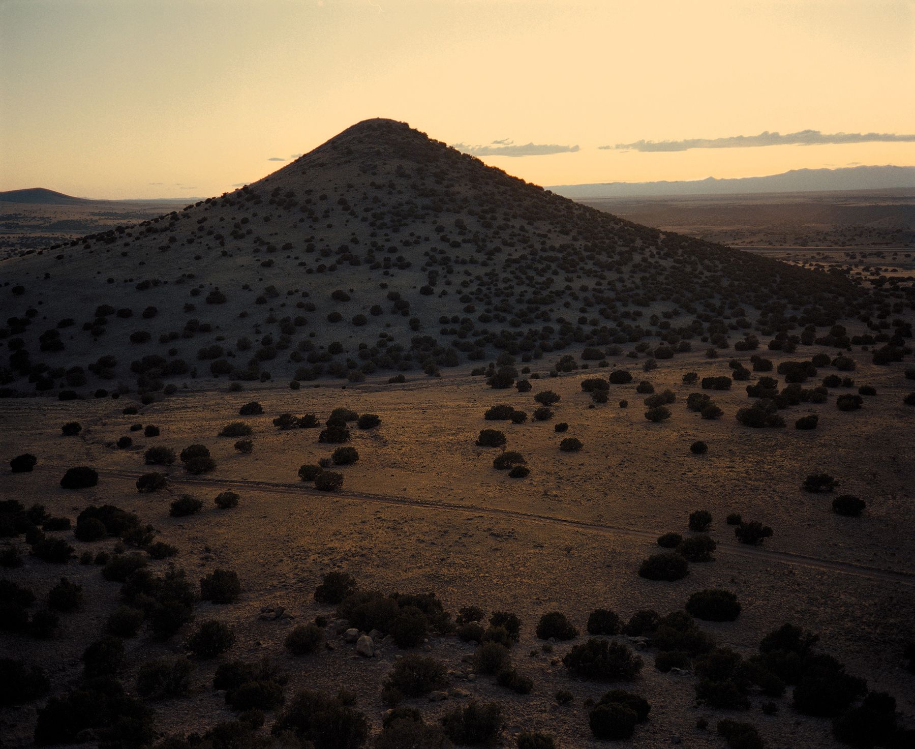 1800x1473 Wim Wenders. Howard Greenberg Gallery