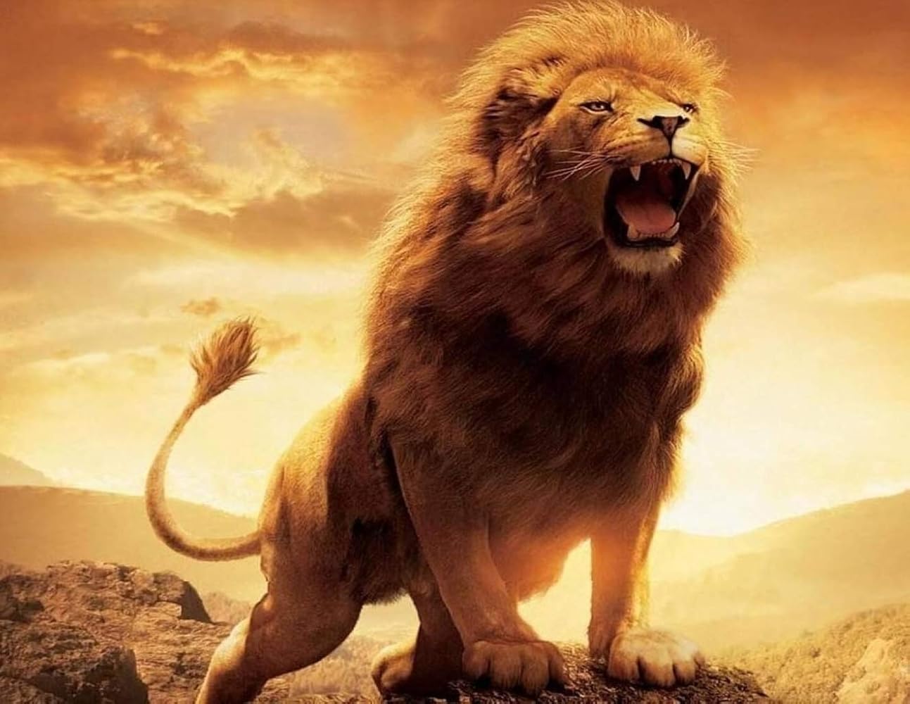 1293x1000 Breathtaking Lion Standing Tall On Jungle Throne Roaring HD Digital Hurricane Background Design Lion Animal Lovers Multiple Card Slots I.D Window Large Zipped Coin Pocket Luxury Wallet : Amazon.co.uk: Fashion