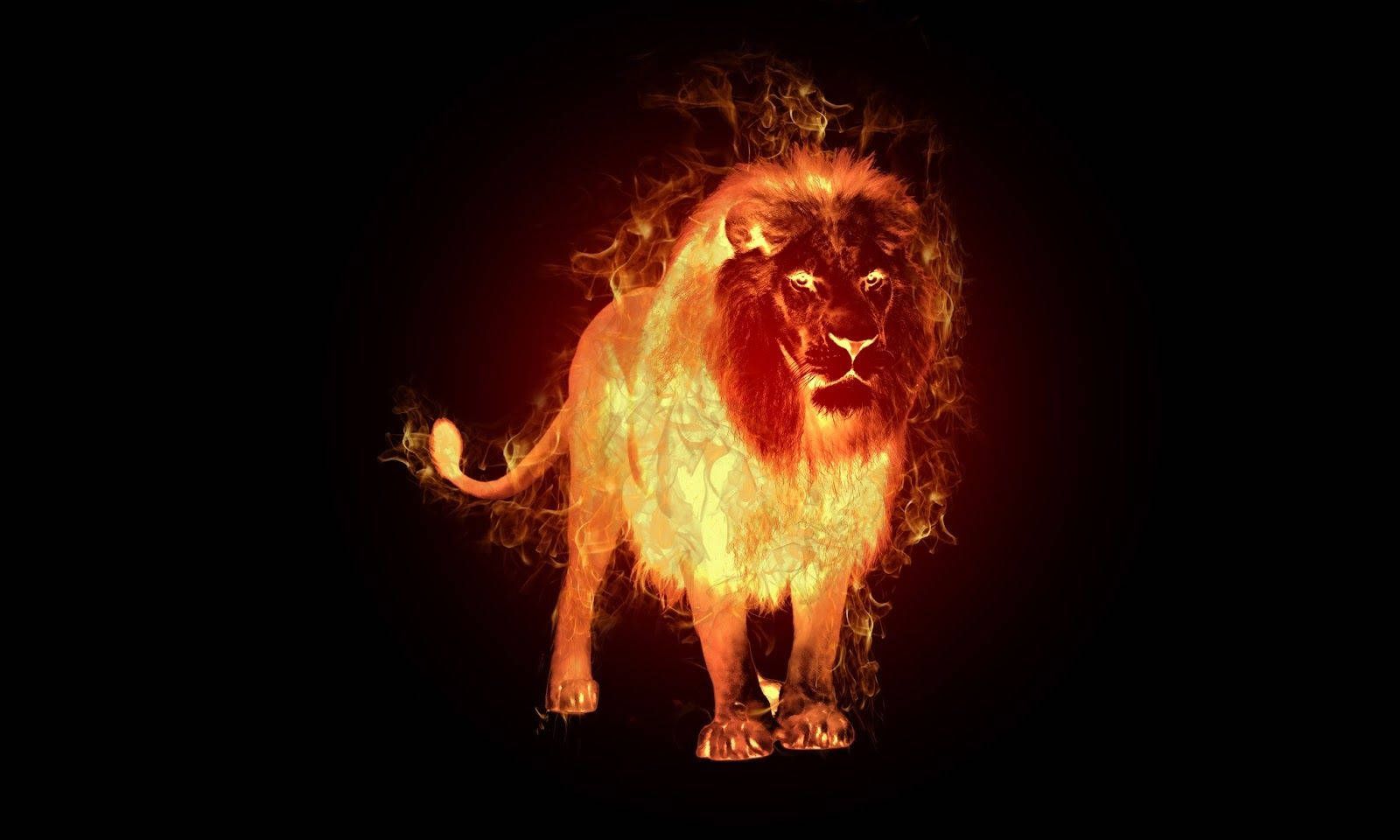 1600x960 Download Standing Fire Lion In Black Backdrop Wallpaper