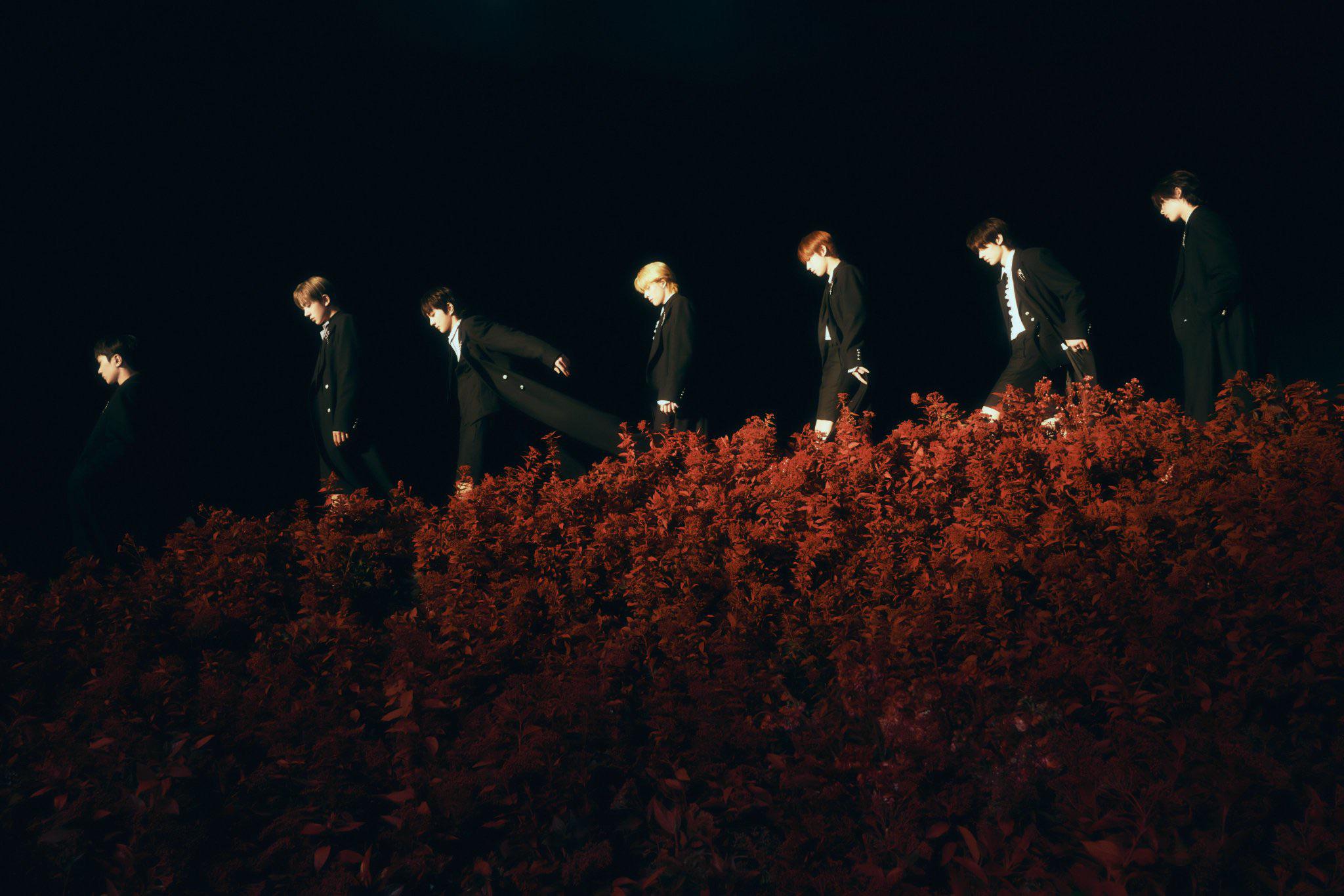 2048x1366 ENHYPEN Mini Album 'DARK BLOOD' (NEW Ver. Concept Photo, UNITS, GROUP)