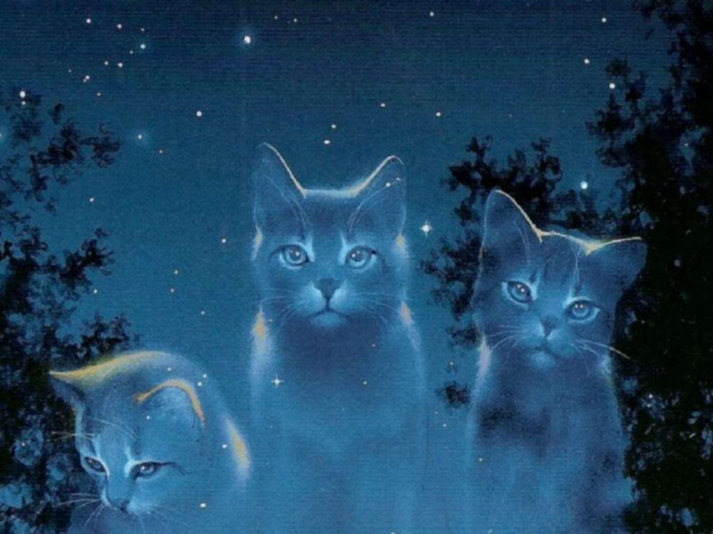 Warrior Cats Wallpapers - Top Free Warrior Cats Backgrounds